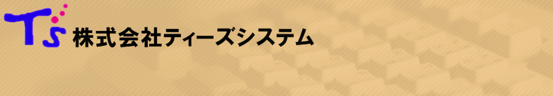 株式会社ティーズシステム
